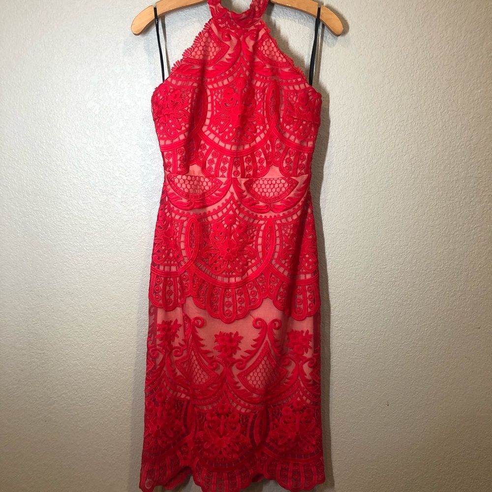 Lace overlay fitted dress scalloped hem